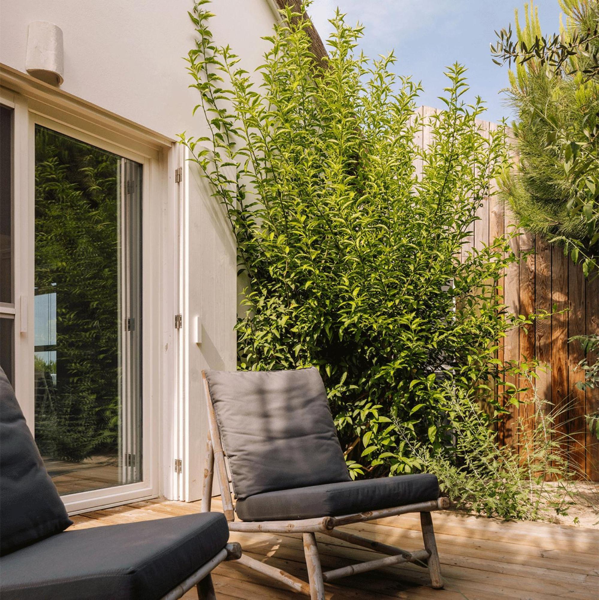 Casas De Arroz Villa Comporta Luaran gambar